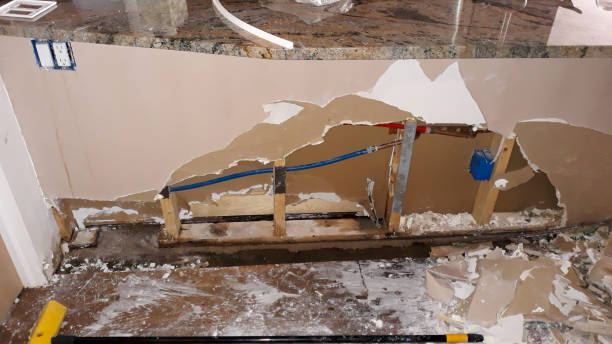 Best Water damage restoration process  in Garden Ridge, TX