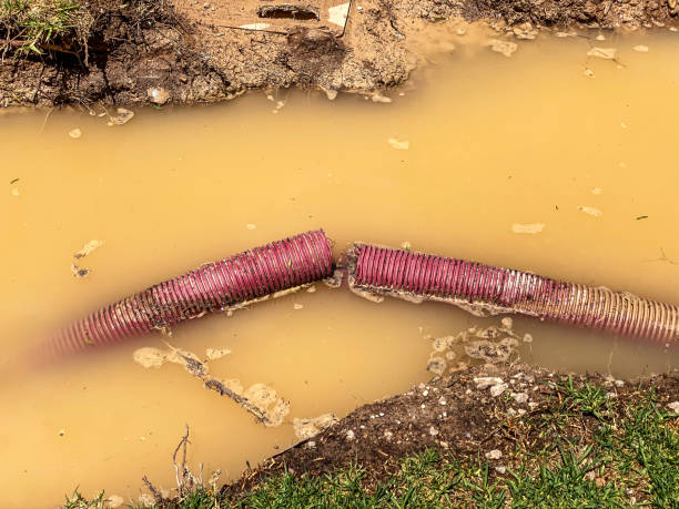 Trusted Garden Ridge, TX Water damage restoration Experts